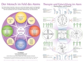 Atem Schaubild DIN A 1 - Bestellung unter info@atempsychotherapie.de